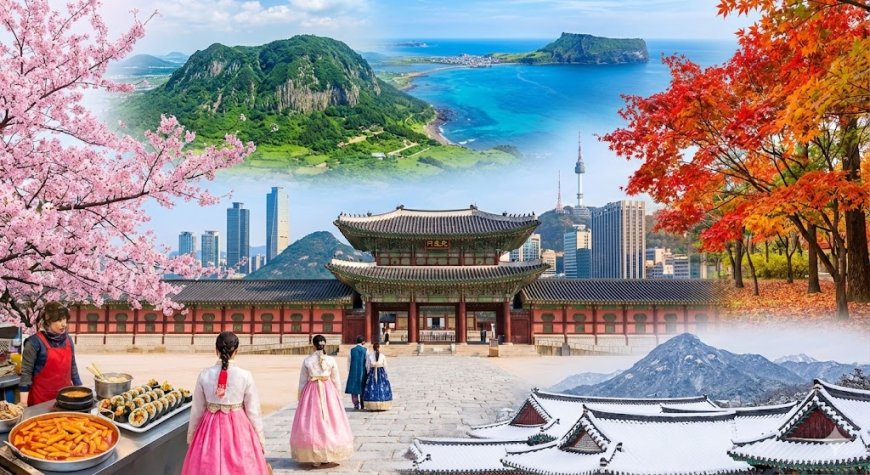 Du Lịch Hàn Quốc Có Gì Thú Vị? Khám Phá 5 "Cực Phẩm" Khiến Du Khách Quên Lối Về